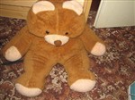 fotka Prodám plyšového medvěda